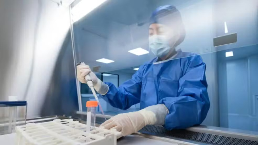 Vacina contra variante rara do Ebola pode começar a ser testada em poucos meses